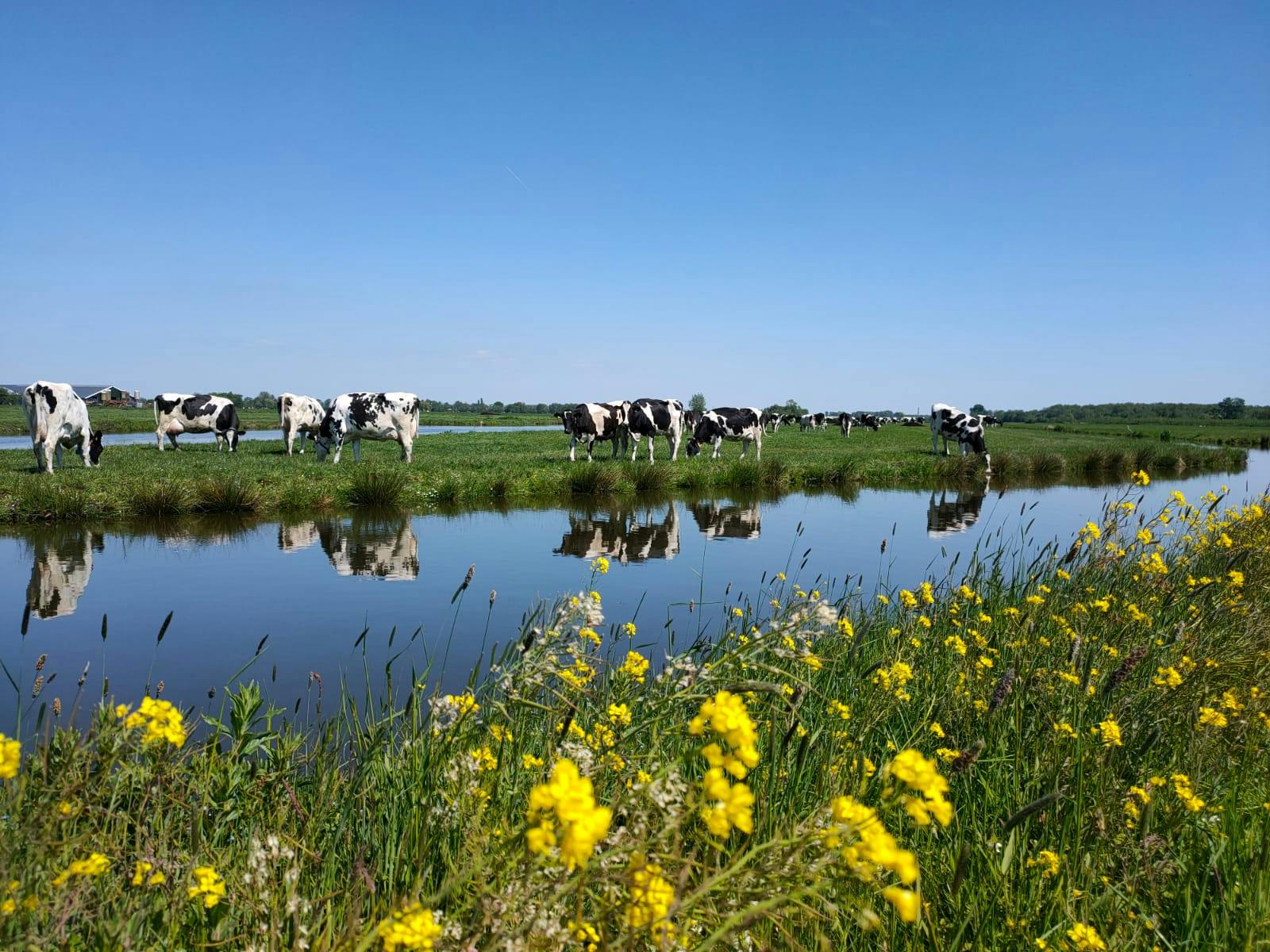 Nancy Leidelmeijer - Co-founder - My Story